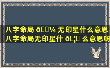 八字命局 🐼 无印星什么意思「八字命局无印星什 🦍 么意思呀」